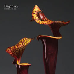 ImportCDs Fabriclive 93 Daphni CD Danse