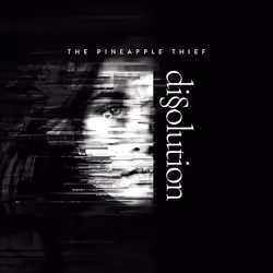 ImportCDs Dissolution, Pop rock, Vinyl, Support physique, Adulte, 1 disques, 30/08/2018