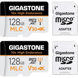 Carte Mémoire - GIGASTONE - 128 Go - Lot de 2 - Haute Endurance - Vitesse 110 Mo/s