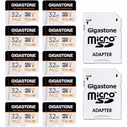 Carte Mémoire - GIGASTONE - 32Go - Haute Endurance - Vitesse 95 Mo/s - Lot de 10 Cartes