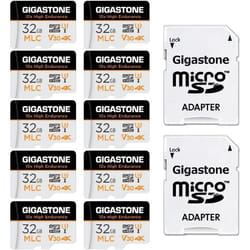 Carte Mémoire - GIGASTONE - 32Go - Haute Endurance - Vitesse 95 Mo/s - Lot de 10 Cartes