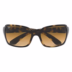 Ray-Ban RB4068 Marron clair Dégradé + Havane