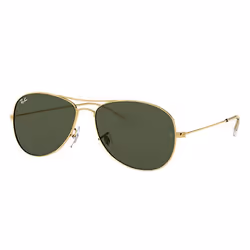 Ray-Ban Cockpit Vert Classique G-15 + Or, Adulte, Unisexe, Aviateur, Aviateur, Cerclé, Or
