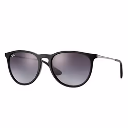 Ray-Ban Erika Classic, Adulte, Unisexe, Aviateur, Cerclé, Noir, Noir