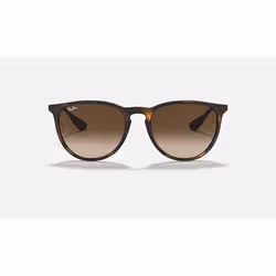 Ray-Ban Erika Classic Brun Dégradé + Havane
