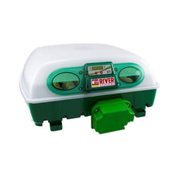 Couveuse automatique digitale poule ET 49 - River Systems Vert