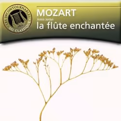 Warner Music Armin Jordan - Mozart: Die Zauberflöte - Les Incontournables du Classique, CD, Classique, CD, Armin Jordan, Supp ...