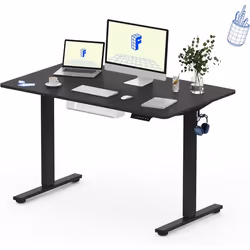 FlexiSpot Bureau Assis-Debout 120x60cm Bureau Électrique Réglable Informatique avec Crochet Charge Max 70kg (Plateau Noir)