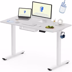 FlexiSpot Bureau Assis-Debout 120x60cm Bureau Électrique Réglable Informatique avec Crochet Charge Max 70kg (Plateau Blanc)