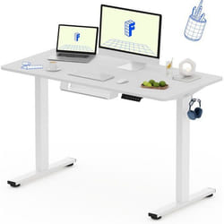 FlexiSpot Bureau Assis-Debout 120x60cm Bureau Électrique Réglable Informatique avec Crochet Charge Max 70kg (Plateau Blanc)