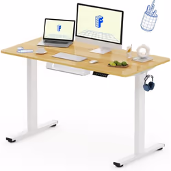 FlexiSpot Bureau Assis-Debout 120x60cm Bureau Électrique Réglable Informatique avec Crochet Charge Max 70kg (Plateau Érable)