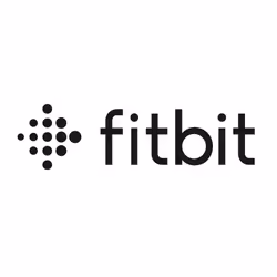 Fitbit FB177RCC, Câble de chargement, Tracker d’activité, Noir, Fitbit Inspire HR, Ace 2, 25 mm, 170 mm