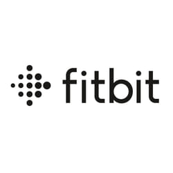Fitbit FB177RCC accessoire intelligent à porter sur soi Câble de chargement Noir