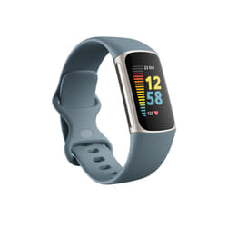 Fitbit Charge 5 AMOLED Bracelet connecté Bleu, Acier inoxydable