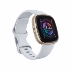Fitbit Sense 2, Écran tactile, GPS (satellite)