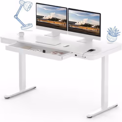 FLEXISPOT Q3W Bureau Assis-DeboutBureau Électrique Réglable en Hauteur avec Plateau 120x60cm en Boisavec Tiroir& USBBlanc