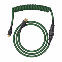 Glorious PC Gaming Race Coiled Vert 1,37 m USB Type-A, USB Type-C