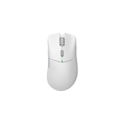 Glorious Gaming Model D 2 PRO Wireless souris Jouer Droitier RF sans fil Optique 26000 DPI