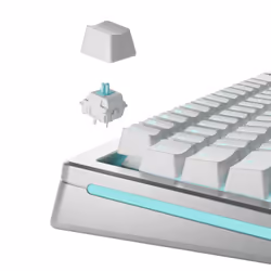 Glorious Gaming GLO-KB-ACC-SWT-LYNX-LUBED-36 accessoire de clavier Touches de clavier