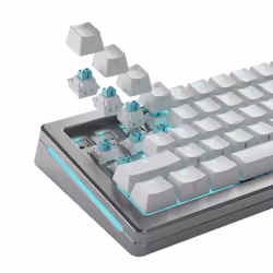 Glorious Gaming GLO-KB-ACC-SWT-LYNX-HE-36 accessoire de clavier Touches de clavier - Vue supplémentaire 6