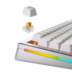 Glorious Gaming GLO-KB-ACC-SWT-PANDA-HE-36 accessoire de clavier Touches de clavier - Vue supplémentaire 2