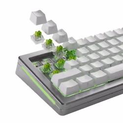 Glorious Gaming GLO-KB-ACC-SWT-RAPTOR-HE-36 accessoire de clavier Touches de clavier - Vue supplémentaire 6