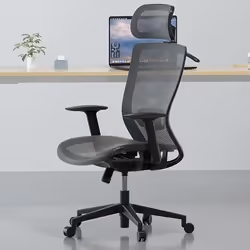 FLEXISPOT OC3B Fauteuil de Bureau Chaise de Bureau Pivotant Réglable en Hauteur avec Appui-tête Appui Lombaire Gris