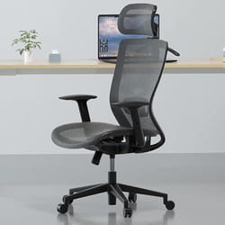 FLEXISPOT OC3B Fauteuil de Bureau Chaise de Bureau Pivotant Réglable en Hauteur avec Appui-tête Appui Lombaire Gris