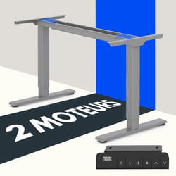 FLEXISPOT Bureau Assis Debout Électrique à 2 Moteurs Bureau Réglable en Hauteur avec Panneau à Fonction Mémoire Charge 100kg Gris