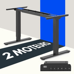 FLEXISPOT Bureau Assis Debout Électrique à 2 Moteurs Bureau Réglable en Hauteur avec Panneau à Fonction Mémoire Charge 100kg Noir