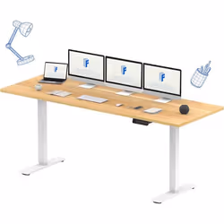 FlexiSpot Bureau Assis Debout 200 x 80 cm avec 2 Moteurs Puissants Bureau Électrique avec Fonction Mémoire (Blanc + Maple)