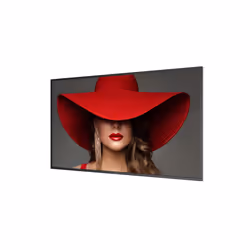 Philips 55BDL4650D Écran plat de signalisation numérique 55" LCD Wifi 500 cd/m² 4K Ultra HD Noir Intégré dans le processeur 24/7