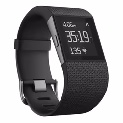 Fitbit Surge, LCD, Écran tactile