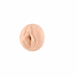 Fleshlight Stoya, Beige, Blanc, 241,3 mm