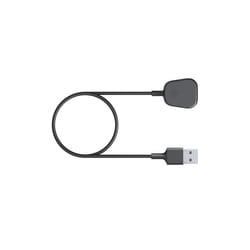 Fitbit FB-168RCC accessoire intelligent à porter sur soi Câble de chargement Noir