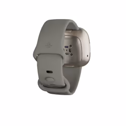 Fitbit Versa Sense Sage Grey Silver AMOLED Numérique Gris Wifi GPS - Vue supplémentaire 11