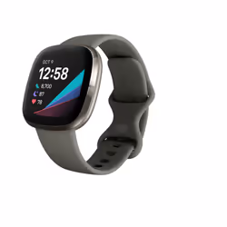Fitbit Versa Sense Sage Grey Silver AMOLED Numérique Écran tactile Gris Wifi GPS (satellite)