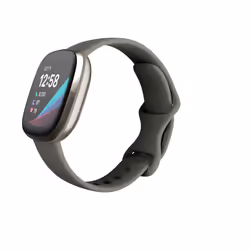 Fitbit Versa Sense Sage Grey Silver AMOLED Numérique Gris Wifi GPS - Vue supplémentaire 4