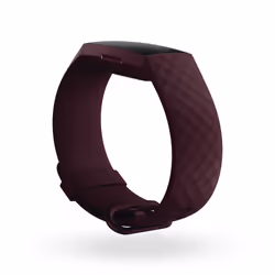 Fitbit Charge 4 Bracelet connecté 3,96 cm (1.56") Violet