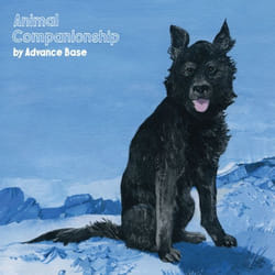ImportCDs Animal Companionship Vinyl Pop rock