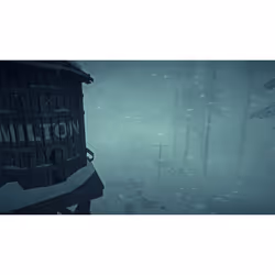 Hinterland Studio The Long Dark, PlayStation 4, T (Teen)