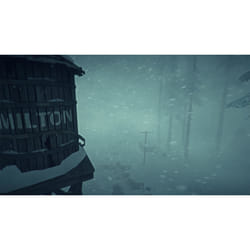 Hinterland Studio The Long Dark PlayStation 4