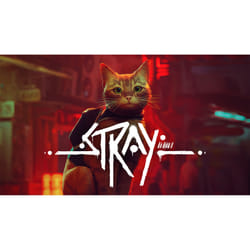 Take-Two Interactive Stray Standard Chinois simplifié, Chinois traditionnel, Allemand, Néerlandais, Anglais, Espagnol, Français, Italien, Japonais, Coréen, Portugais, Russe Nintendo Switch