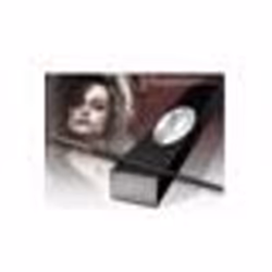 Réplique baguette de Bellatrix - NOBLE COLLECTION - Harry Potter - Noir - Intérieur - Adulte - Mixte
