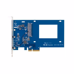 OWC Accelsior S carte et adaptateur d'interfaces Interne SATA