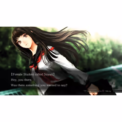 NIS America Tokyo Twilight Ghost Hunters: Daybreak Special Gigs, PS 4 Standard PlayStation Vita