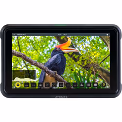 Atomos Shinobi, 13,2 cm (5.2"), 1920 x 1080 pixels, IPS, 427 pixels par pouce, 16:9, 1280x720@50fps, 1920x1080@23.98fps, 1920 ...