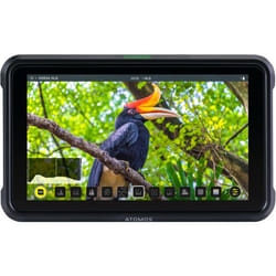 Atomos Shinobi 13,2 cm (5.2") Noir