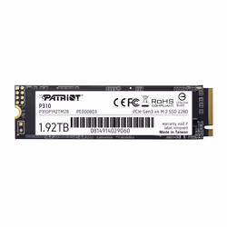 Patriot Memory P310