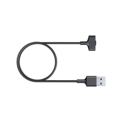 Fitbit FB-164RCC accessoire intelligent à porter sur soi Câble de chargement Noir